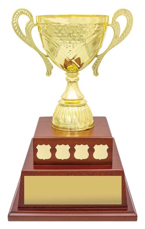 orginal_perp10.jpg